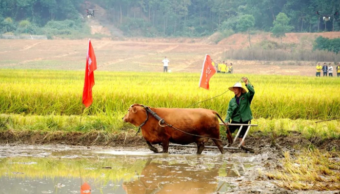 【中国供销】热闹纷呈！一起走进2022年中国农民丰收节全国供销合作社主题日活动