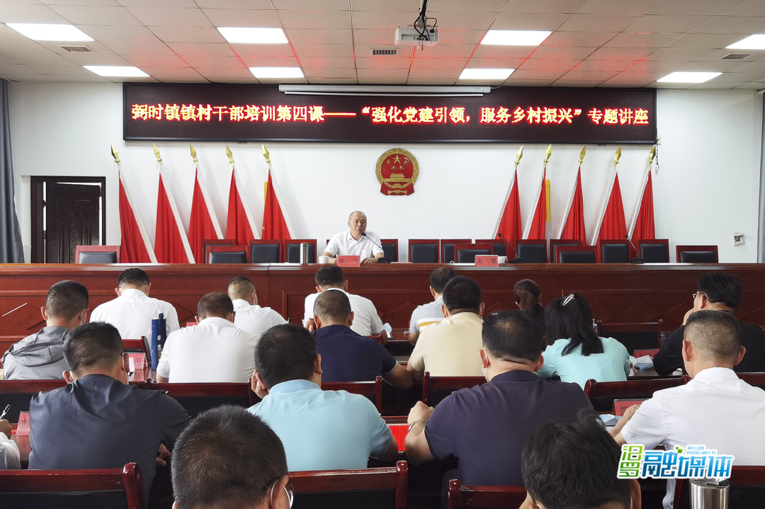 强化党建引领，弼时镇乡村振兴能力提升培训班开课