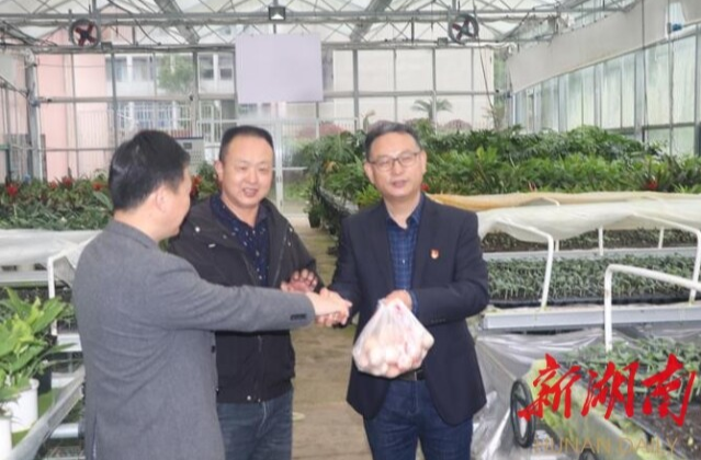 【新湖南】周佳星：逆境中绽放的铿锵玫瑰