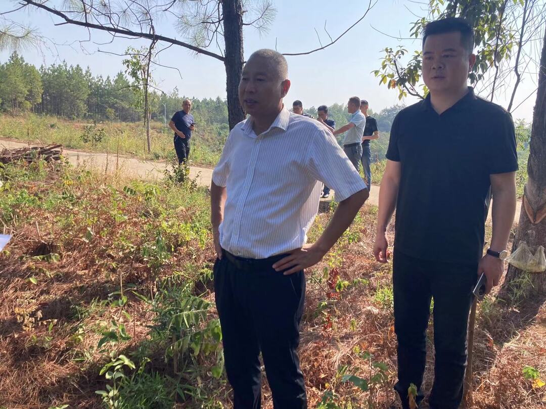 吴高明到屈子祠镇开展巡林工作