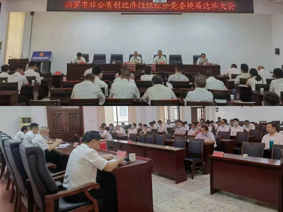 汨罗市非公有制经济组织综合党委完成换届选举