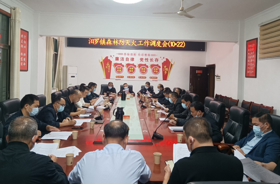 汨罗镇：防范于未“燃”，加大森林防灭火宣传力度