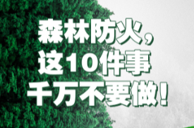 森林防火，这10件事千万不要做！