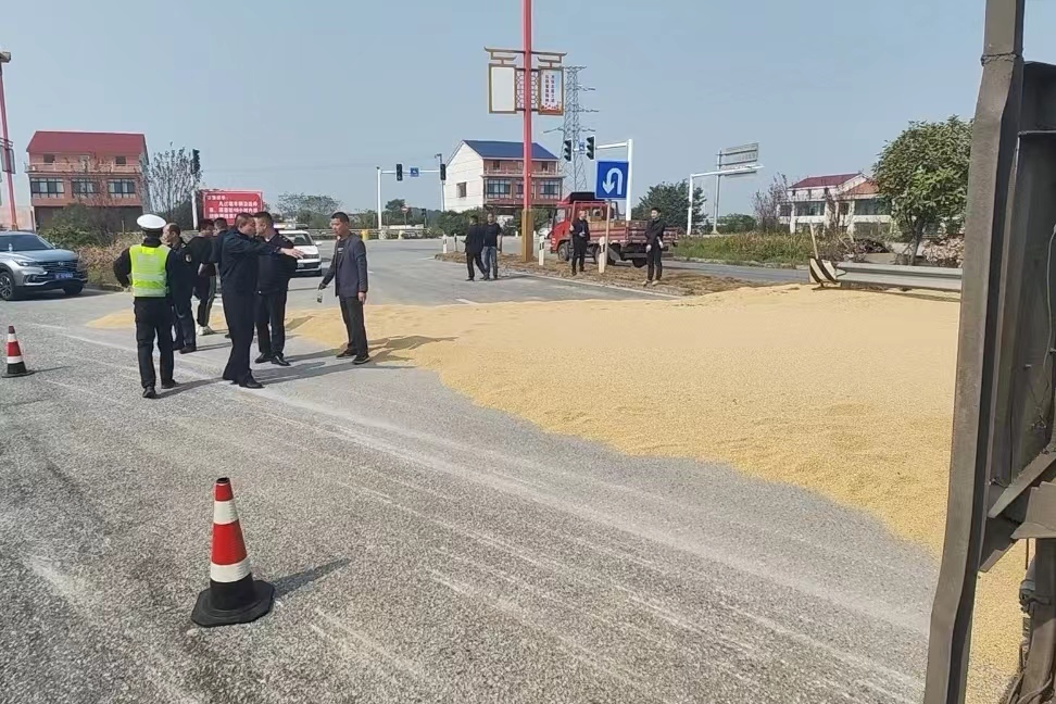 半挂车侧翻马路，汨罗交警民众协力清理30余吨黄豆