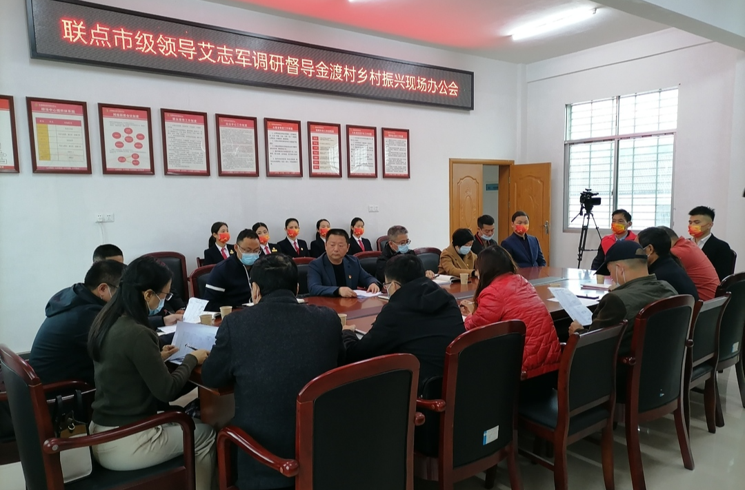 艾志军督导大荆镇金渡村乡村振兴工作