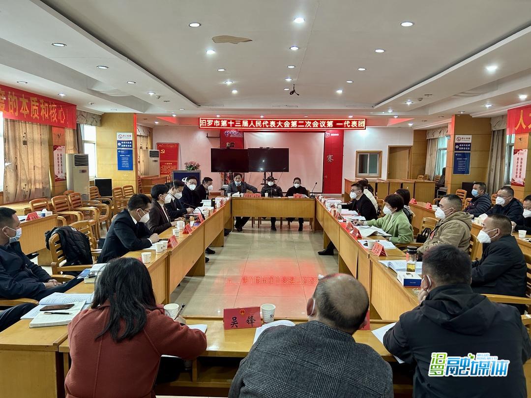 聚焦两会|人大代表分团讨论政府工作报告，共谋汨罗发展
