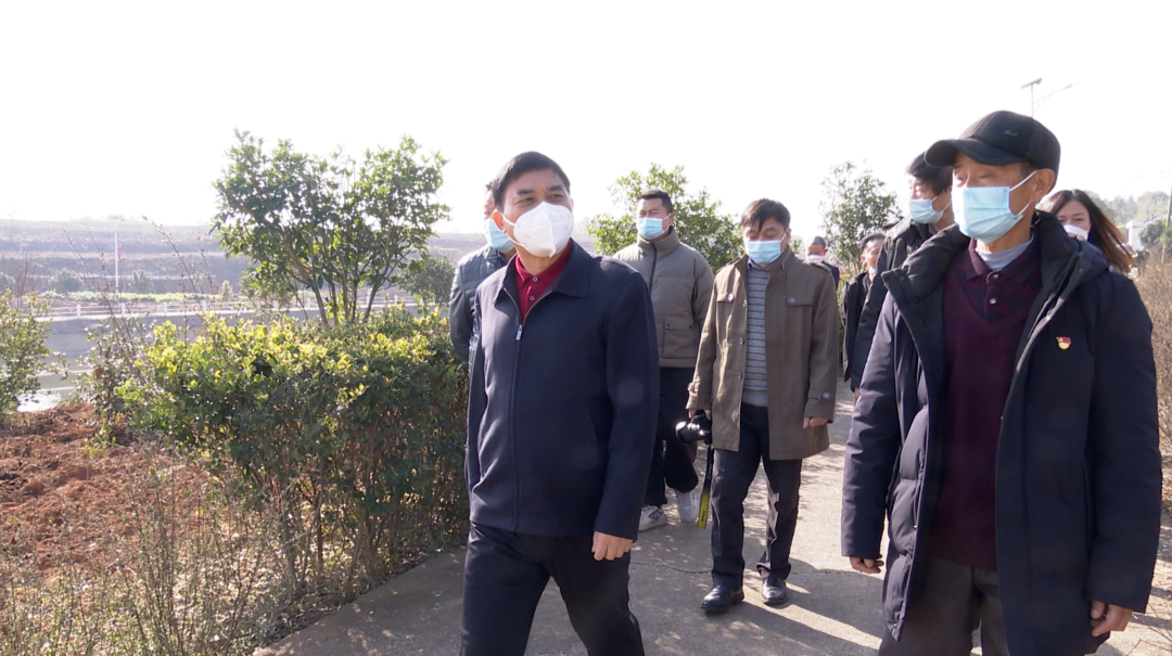 省老科协副会长张伟达来汨考察“百岁健康”示范市创建工作