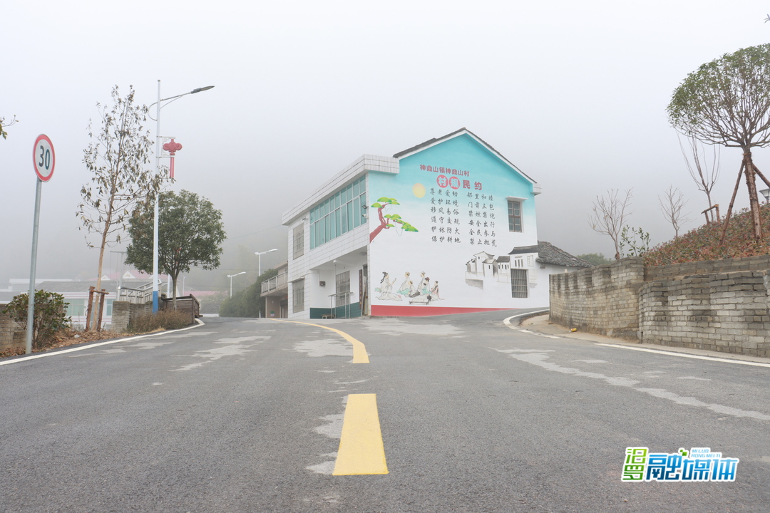 自筹200万建秀美家园，汨罗这个屋场的三年改造计划实现了