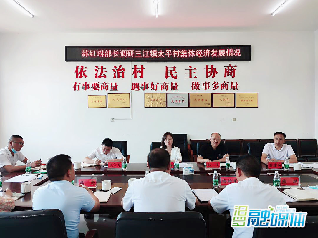 苏红琳调研三江镇村级集体经济工作