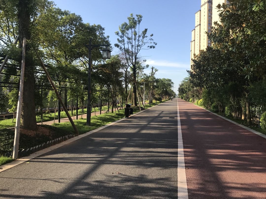 一位普通市民的记录：相逢在放开的日子