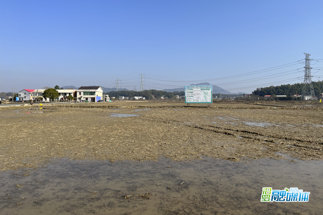 弼时镇召开乡村振兴流动现场会