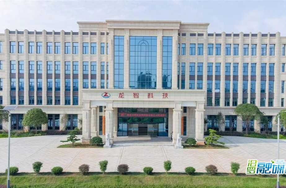 喜讯！湖南龙智新材料科技有限公司党支部获评“湖南省两新领域标杆党组织”