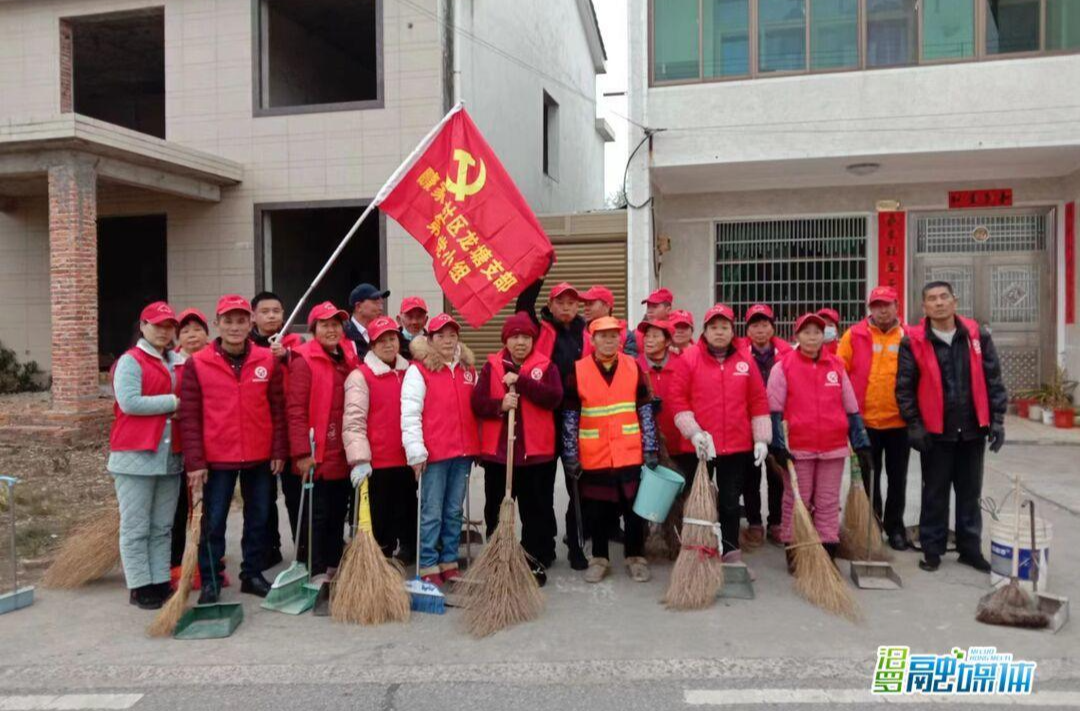 “党旗红”引领“志愿红”！瞭家山社区党员志愿者合力美家园