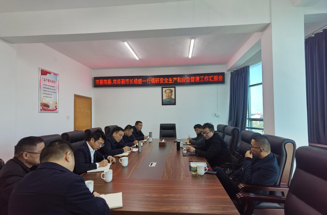 杨盛调研安全生产和应急管理工作