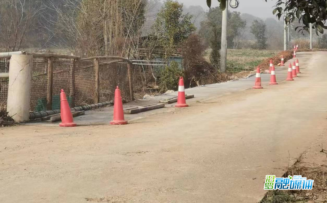 白水镇：党群共筑“连心路”，阡陌变通途