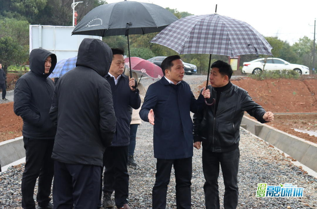 副市长吴艳平督查春耕生产工作