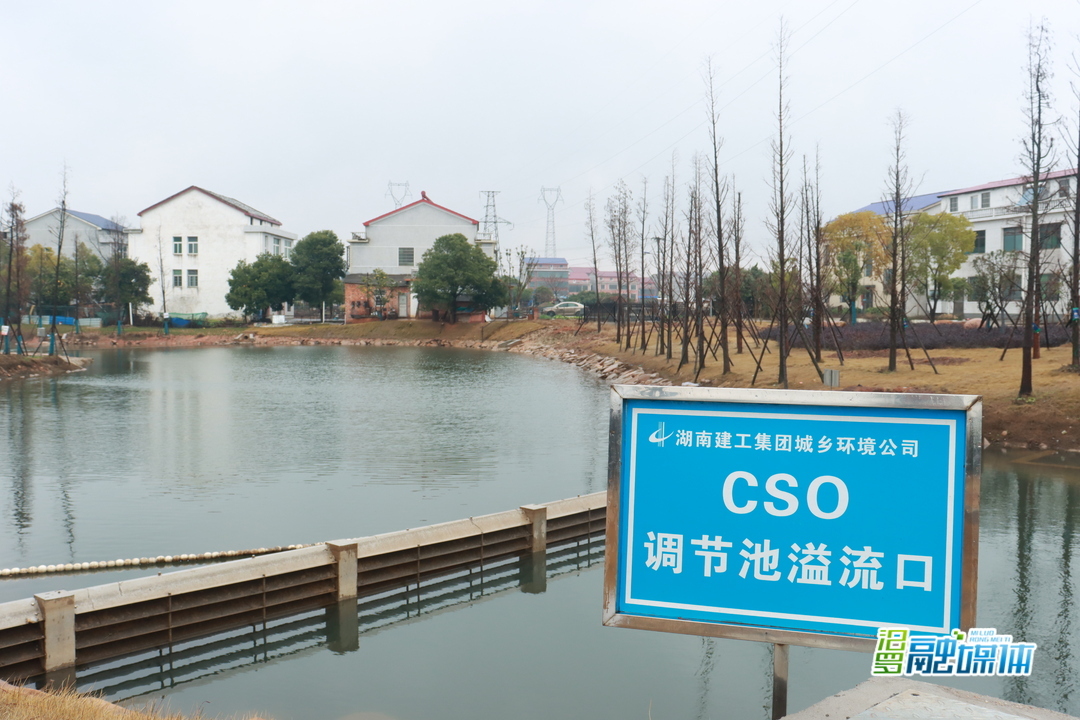 臭水塘变身生态园！汨罗小桥湖的“美丽蝶变”