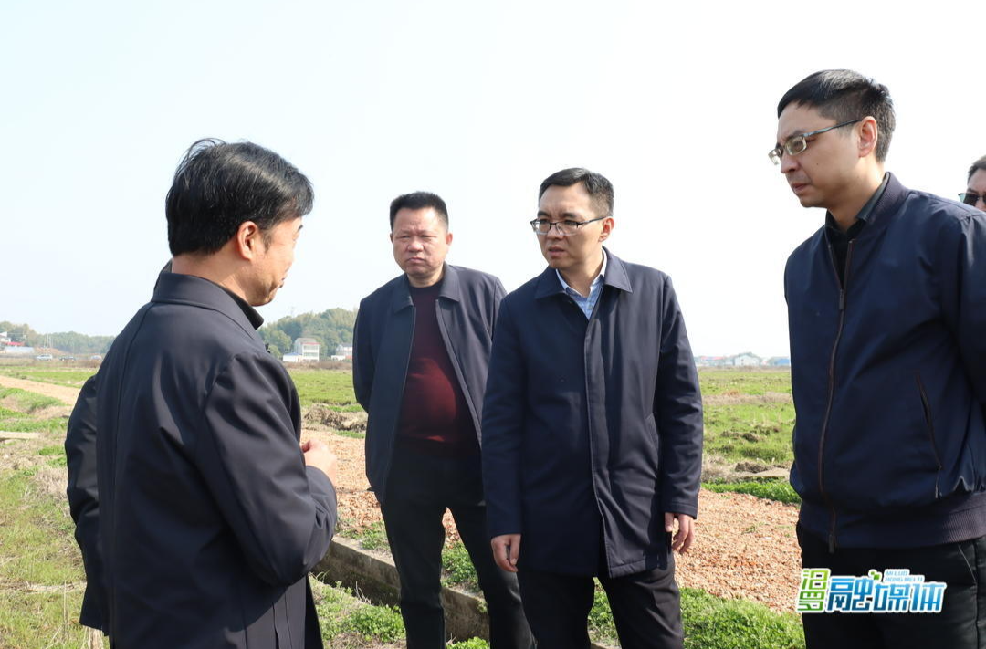 省农业农村厅来汨调研农业农村工作