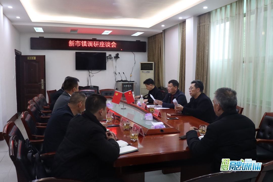 李亚江到新市镇调研