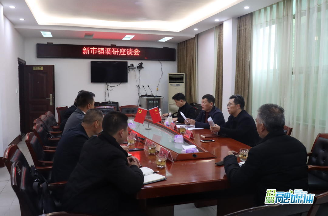 李亚江到新市镇调研