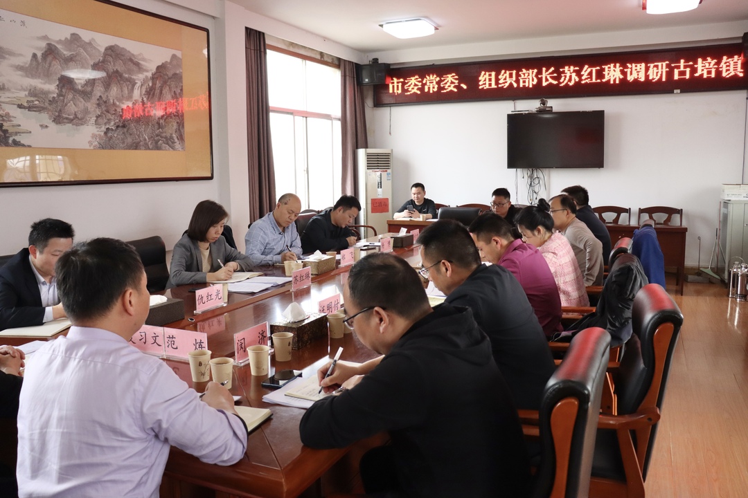 苏红琳到古培镇调研