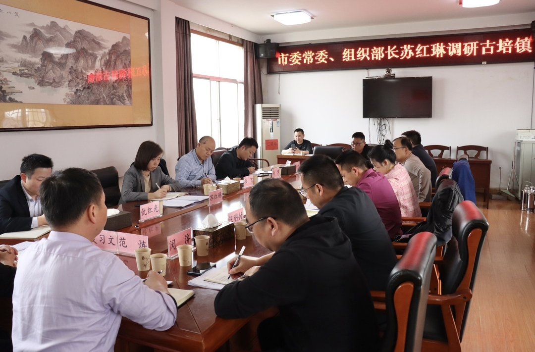 苏红琳到古培镇调研