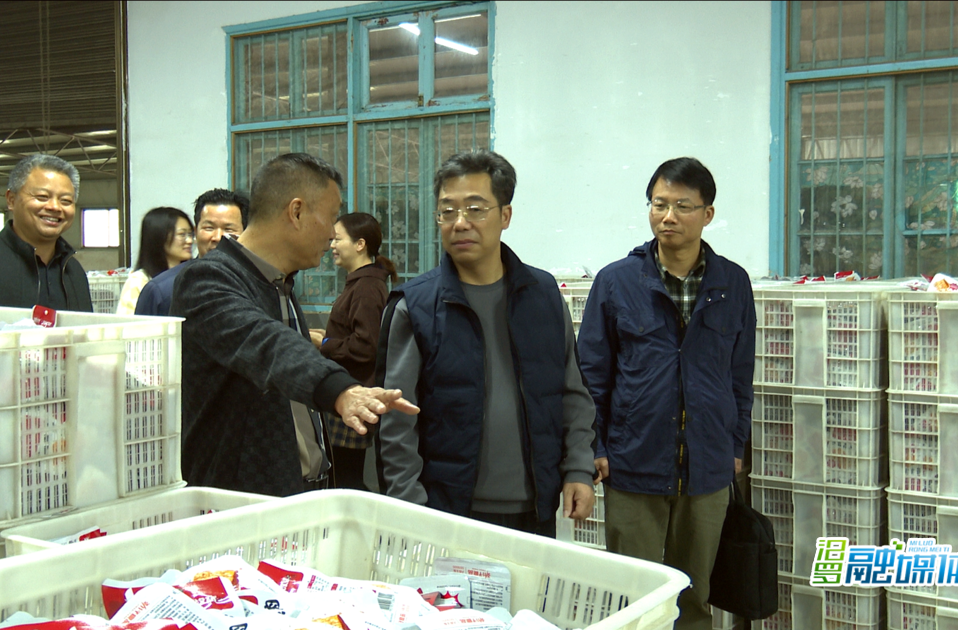 市人大常委会调研组调研全市就业工作情况