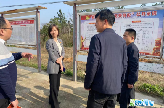 苏红琳指导古培镇杨梅铺村集体经济发展工作