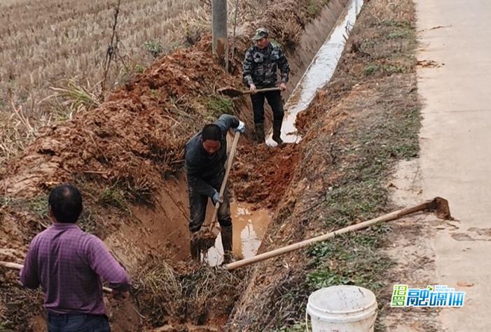 罗江镇：党员群众合力疏渠 为春耕生产保驾护航