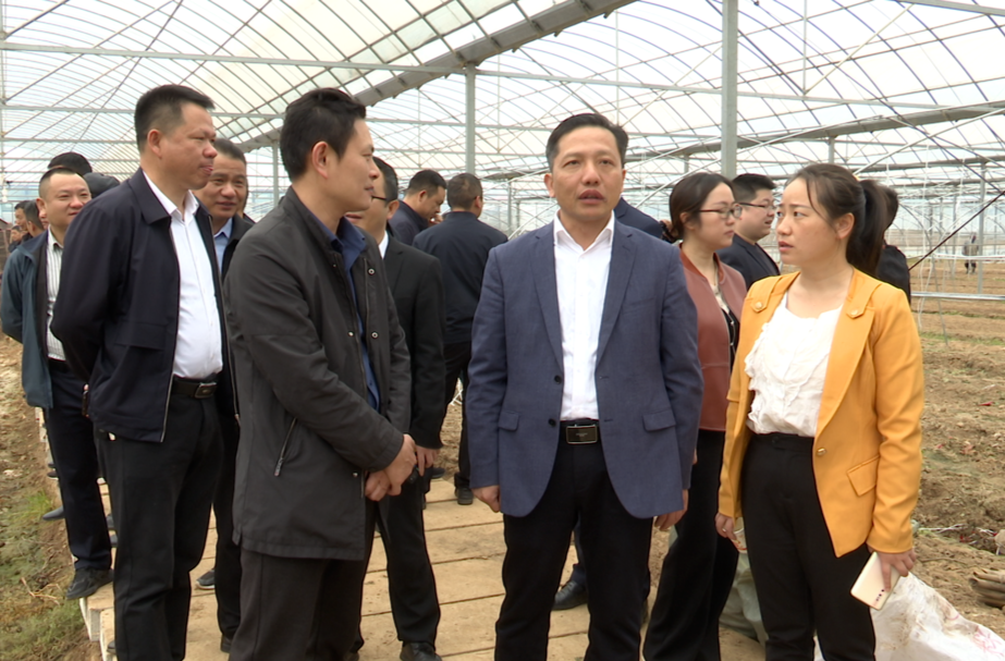 汨罗市召开粮食生产工作推进会