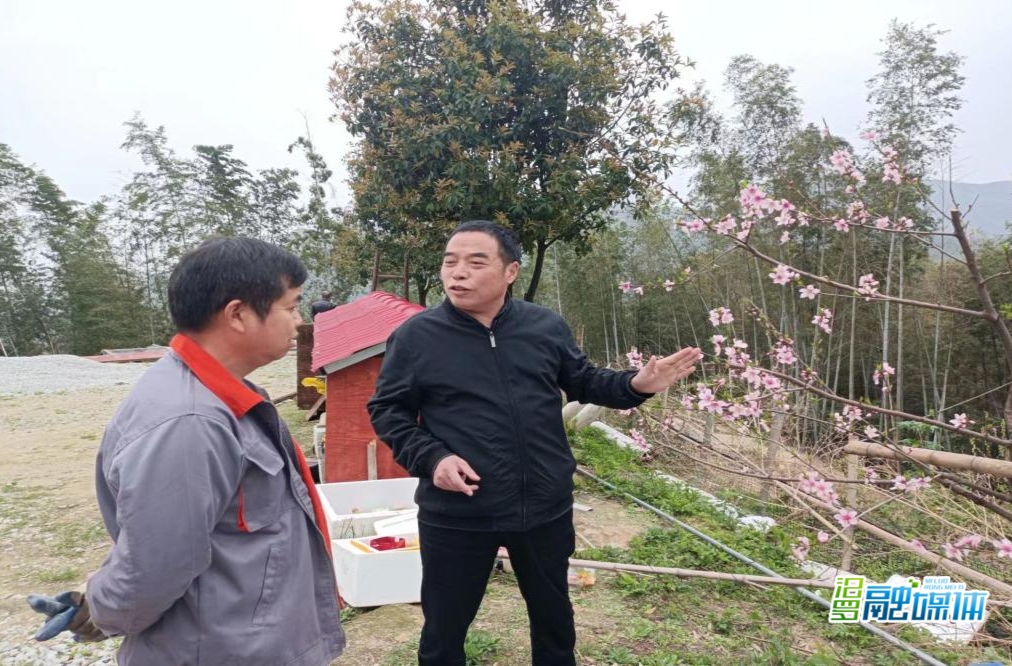 送技术下乡！汨罗职中助力“扫干净摆整齐栽果树”行动