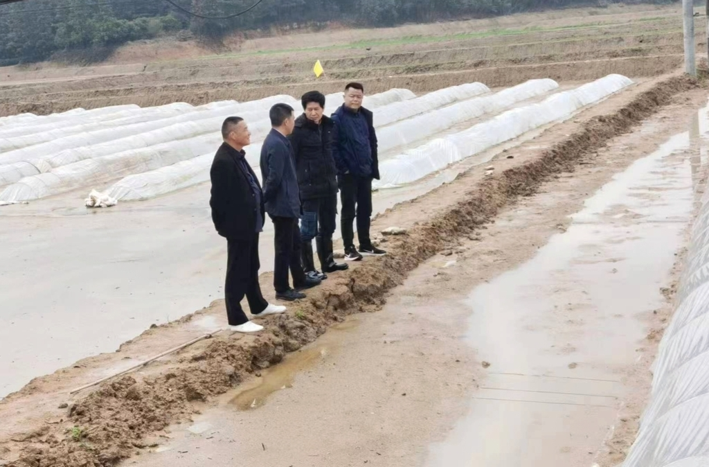 稳面积稳产量！汨罗开展早稻生产工作联镇督导