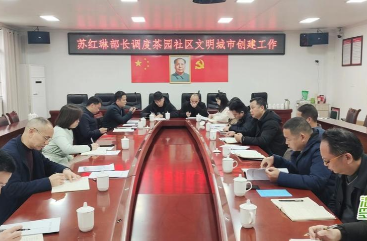 共创文明城丨苏红琳调度推进茶园社区文明城市创建工作