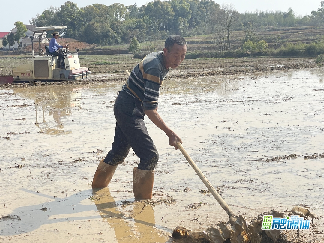 汨罗白塘：古稀老人带领乡亲们多种粮 种好粮