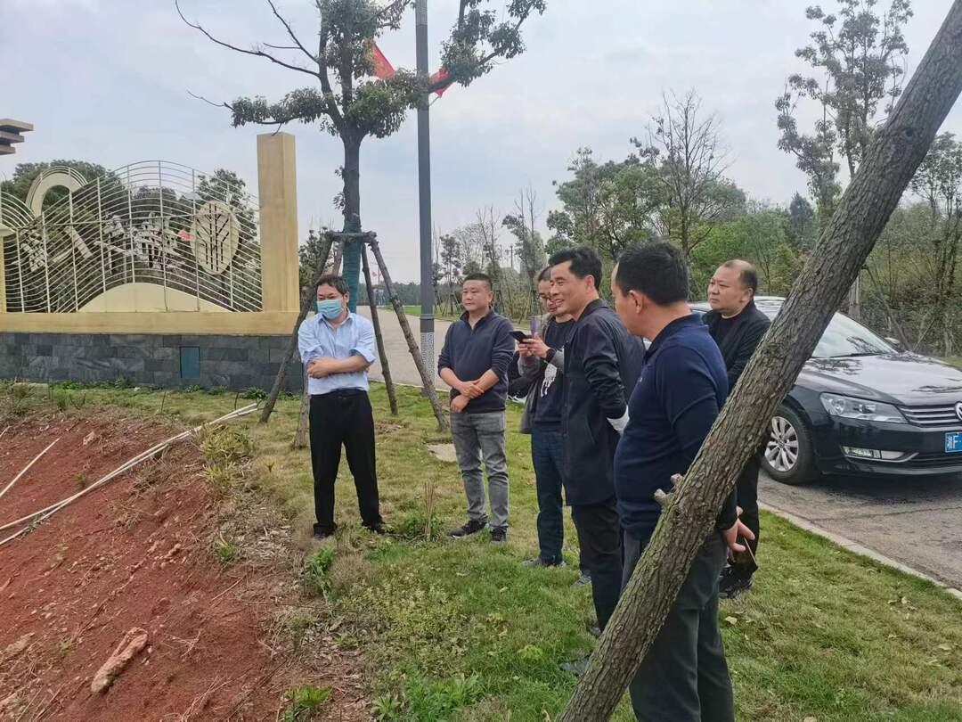 中国自然资源报社来汨调研采访