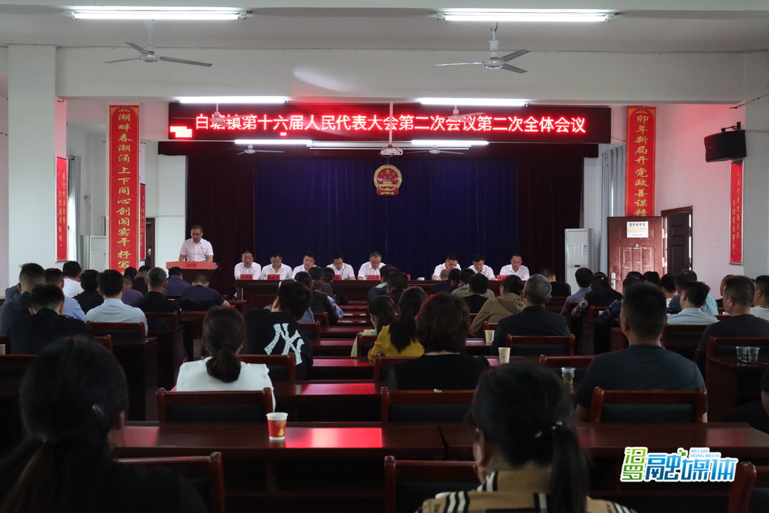 做好五件大事，白塘镇今年工作任务定了