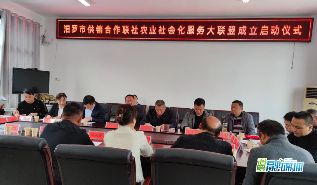 汨罗市成立供销社农业社会化服务大联盟