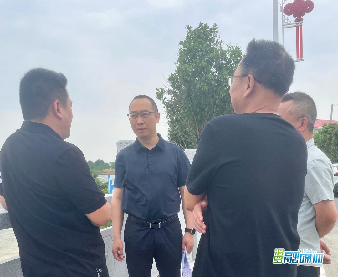 叶罡到汨罗镇巡河、督导防汛备汛工作