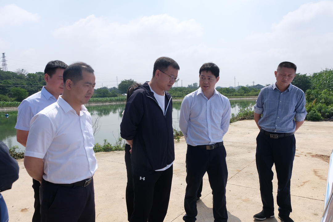 杨盛调研新能源开发重点项目推进工作