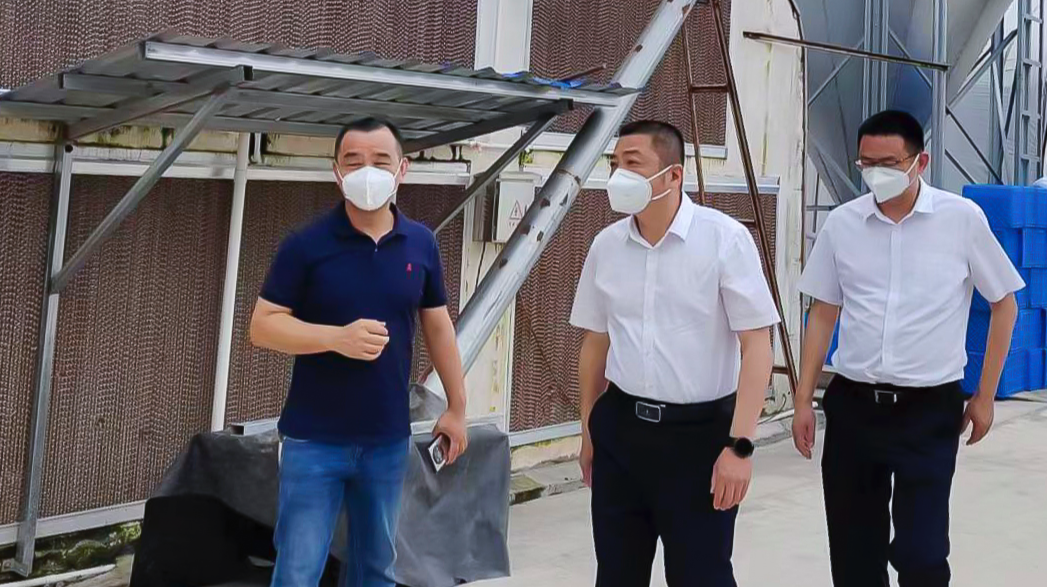 朱平波调研弼时镇乡村振兴工作