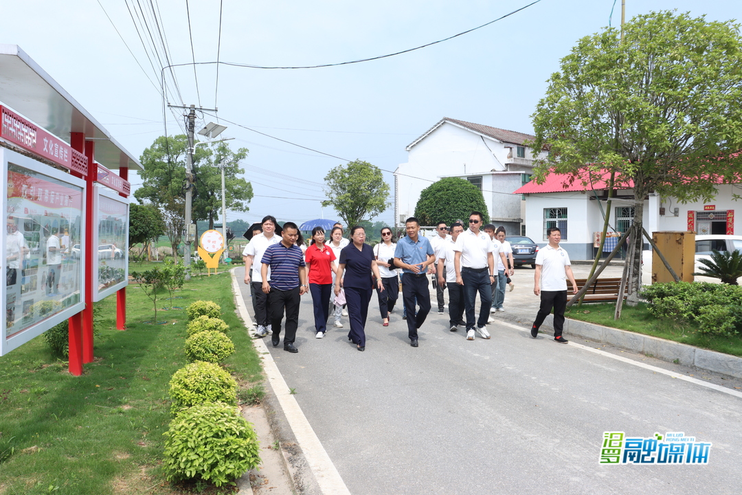 汨罗“新阶联乡镇行”第二站走进白水镇