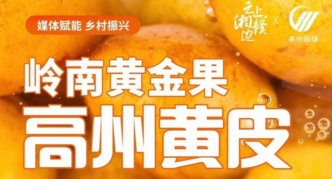 【直播】走进原产地 全国百余家媒体联合向您推荐岭南黄金果-高州黄皮