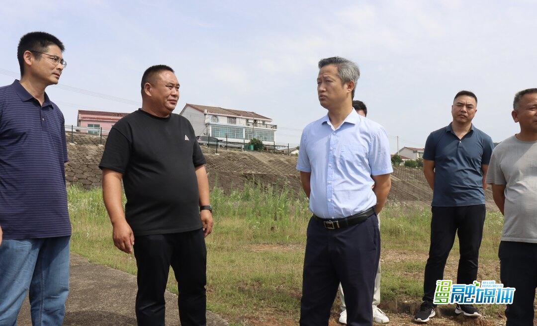 林恒求到三江镇调研