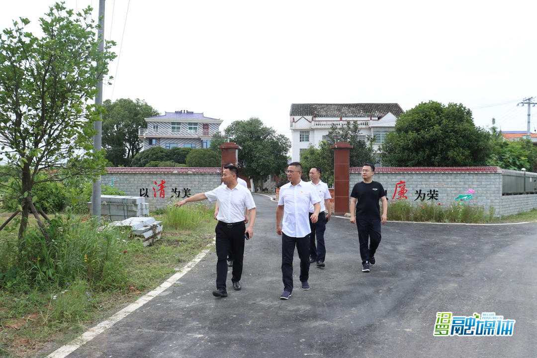 许义中到罗江镇开展“七个一”工作调研