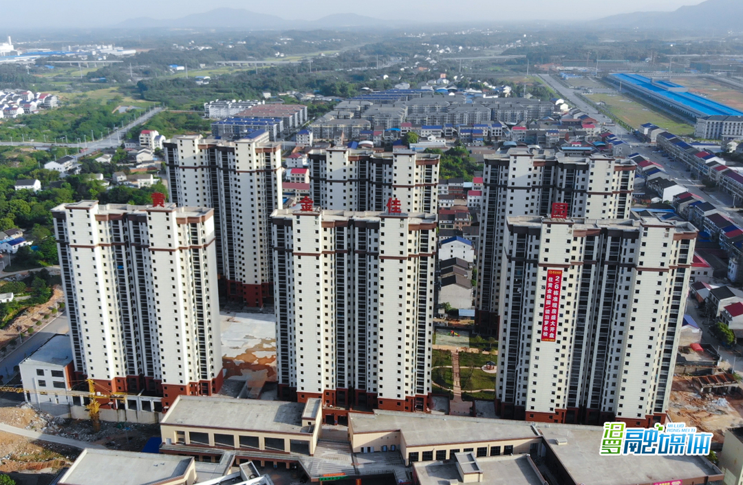 新市镇：持续优化营商环境 推动项目建设提质增效