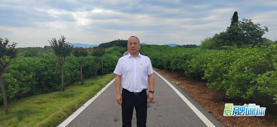 党组织书记风采录②丨白水镇胥献军：“村庄变景区，田园变公园”