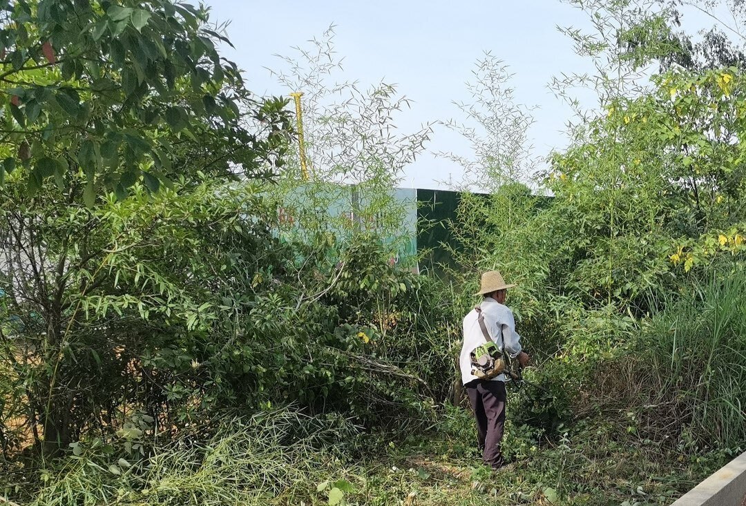 共创文明城丨归义镇：清杂除障，为进出城道路“美颜”
