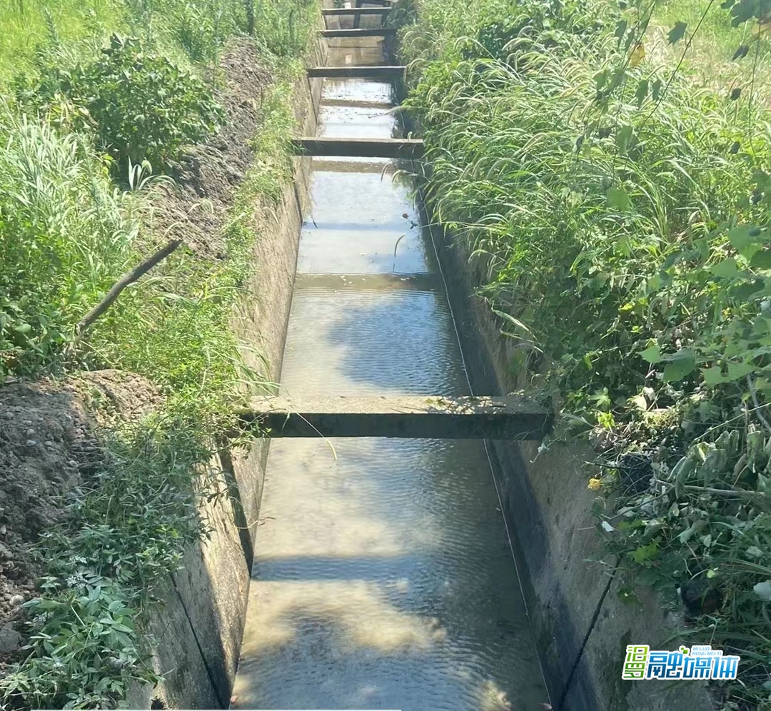 弼时镇：双管齐下“清河净滩”与“水稻抗旱”两手抓