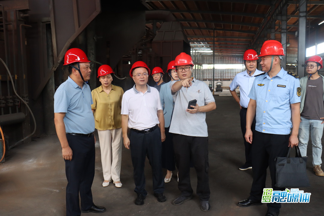 岳阳市人大常委会来汨罗开展安全生产“一法一条例一规定”执法检查