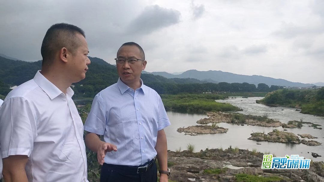 叶罡调研长乐镇马桥村乡村振兴工作